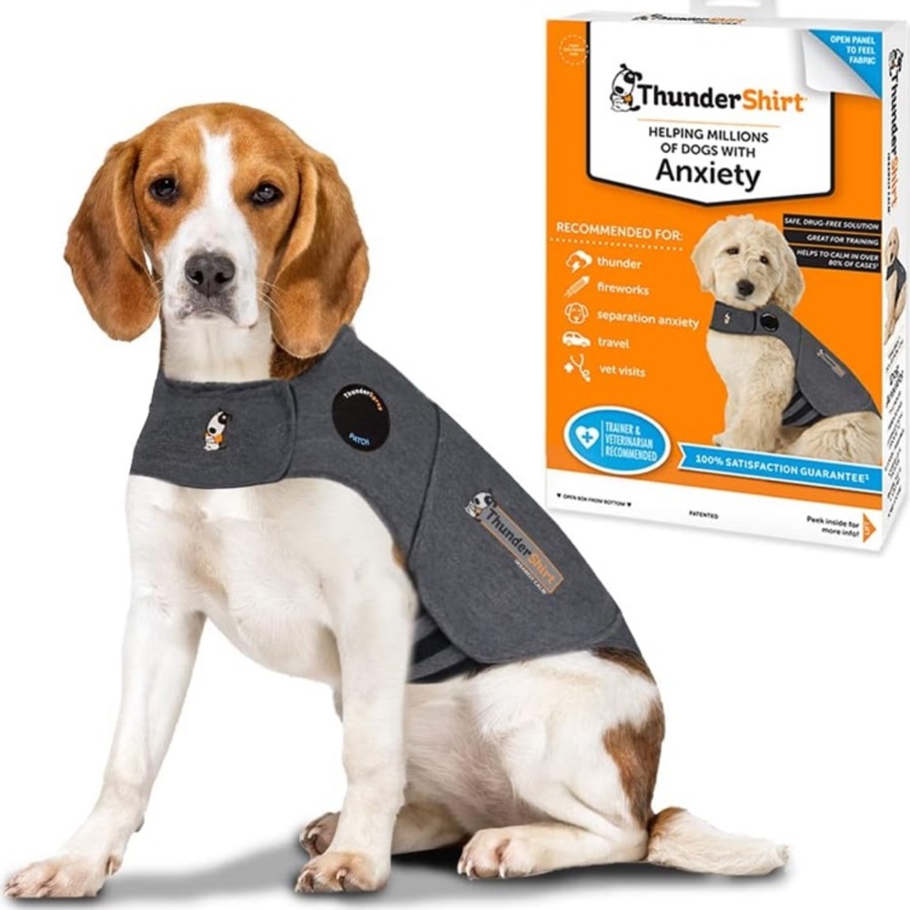Thundershirt for Dogs - Picture 11 of 14
